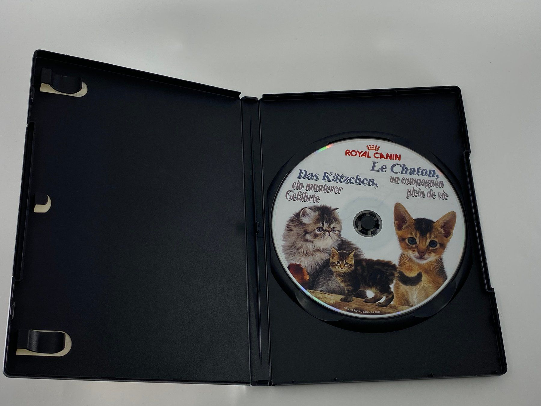 Alle DVDs: DVD - Das Kätzchen ein munterer Gefährte von Royal Canin – Gebraucht aus Langwiesen von Restposten-24 1