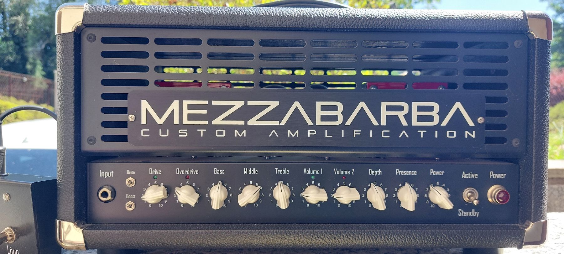 Verstärker: Mezzabarba Skill Head – Gebraucht aus Barbengo von TetoC80