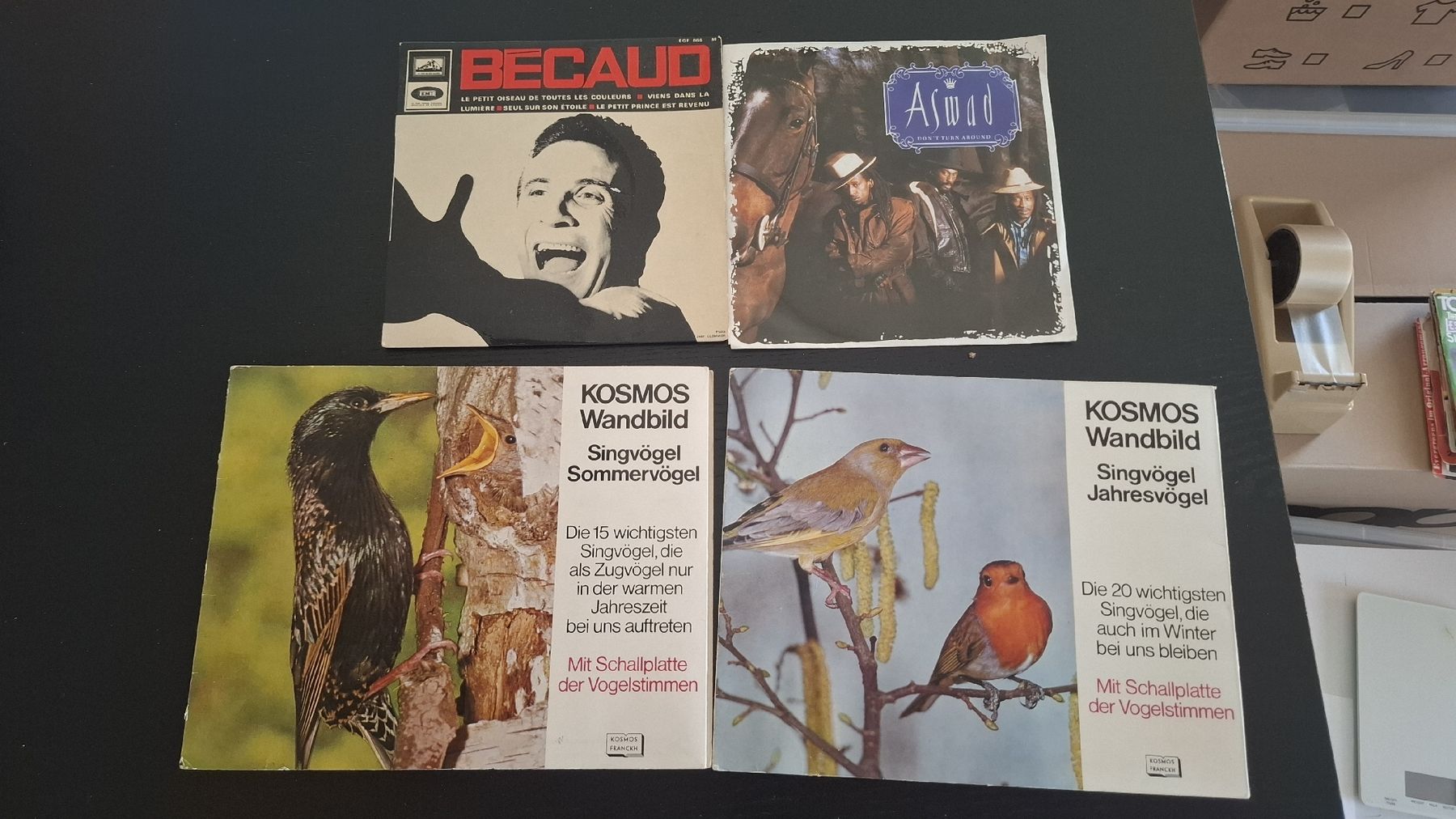 Dischi in vinile: Schallplattensammlung • 16 Stk • Single • 45er – Usato da Ottenbach venduto da Rasenmaeeher 3