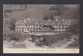 Château d'Oex   :   alte Ansichtskarte Hotel Berthod, um1910