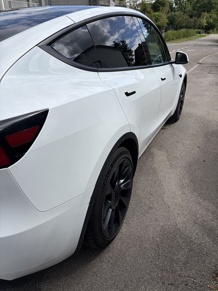 Tesla Automobili: Tesla Modell Y RWD – Usato da Solothurn venduto da Iustus 7