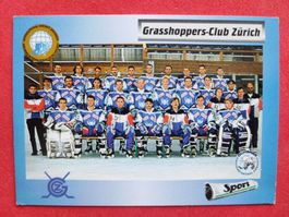 GRASSHOPPERS TEAM CARD - 1993/94