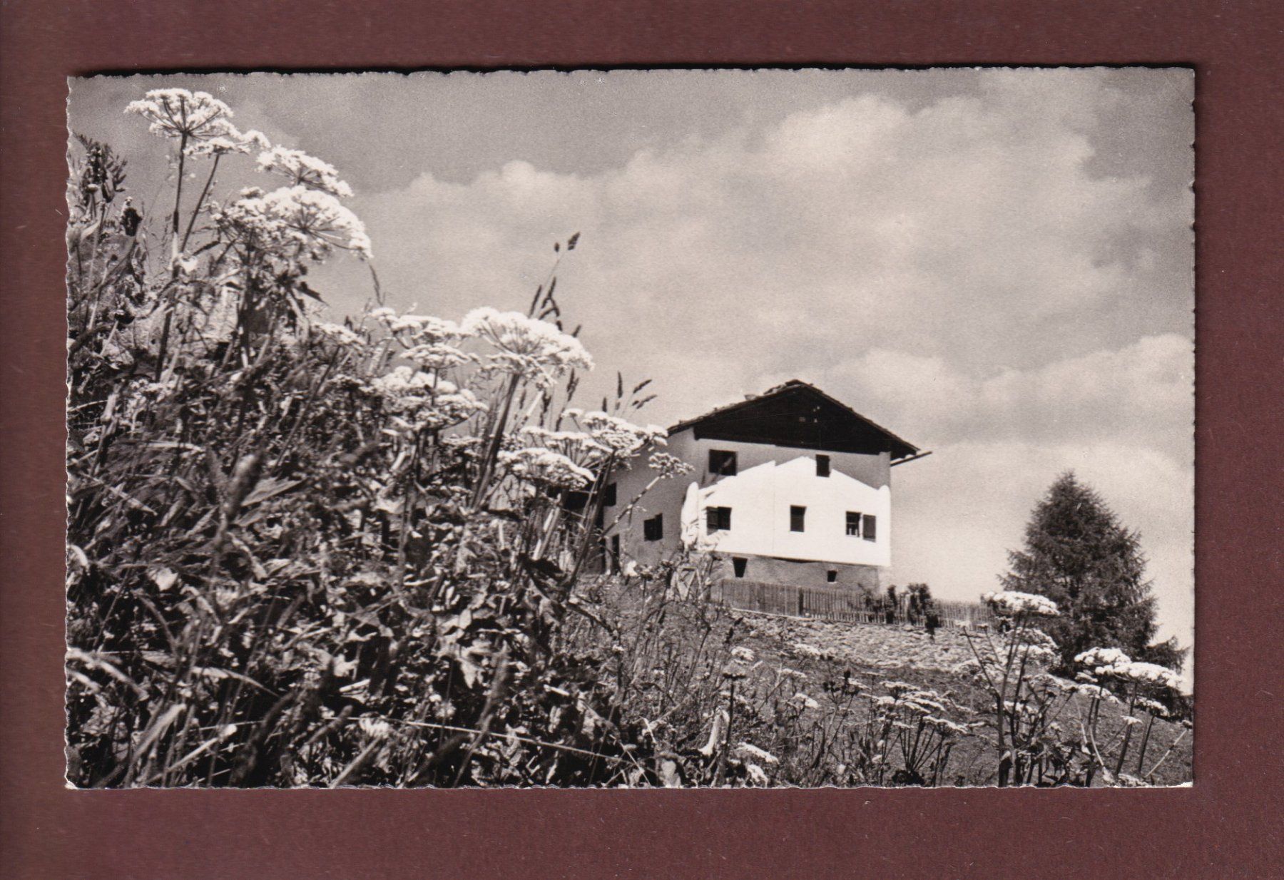 Ansichtskarten: DAVOS - Bauernhaus - 1943 – Gebraucht aus Pully von nicecards