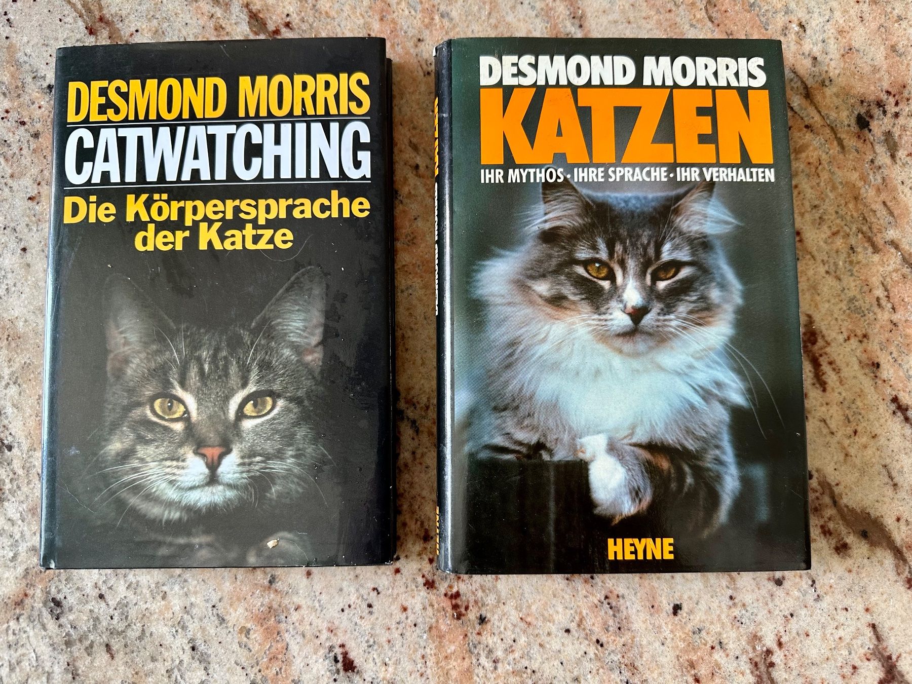 Libri: Desmond Morris - Katzen / Catwatching – Nuovo (secondo la descrizione) da Spreitenbach venduto da Jessy8