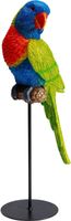 KARE DESIGN Skulptur‪ Parot 🦜