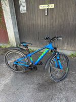 Bulls (Kindervelo)