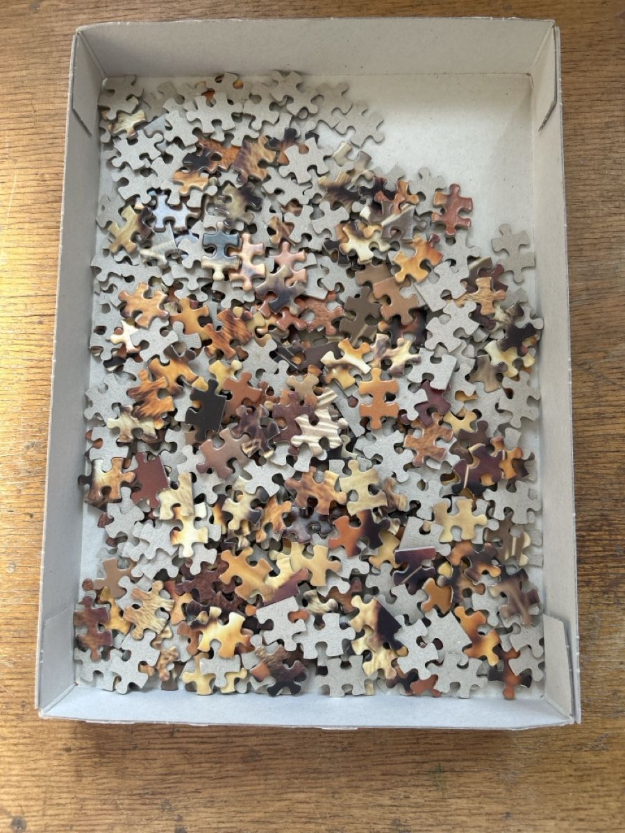 Puzzle: Puzzle Tiger – Usato da Burgdorf venduto da Mm.ju 1