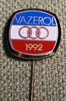 N669 - Nadel Ferienort VAZEROL 1992 Schweiz