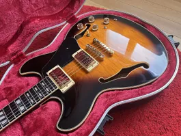 Ibanez JSM10-VYS John Scofield Signature – Top-Zustand