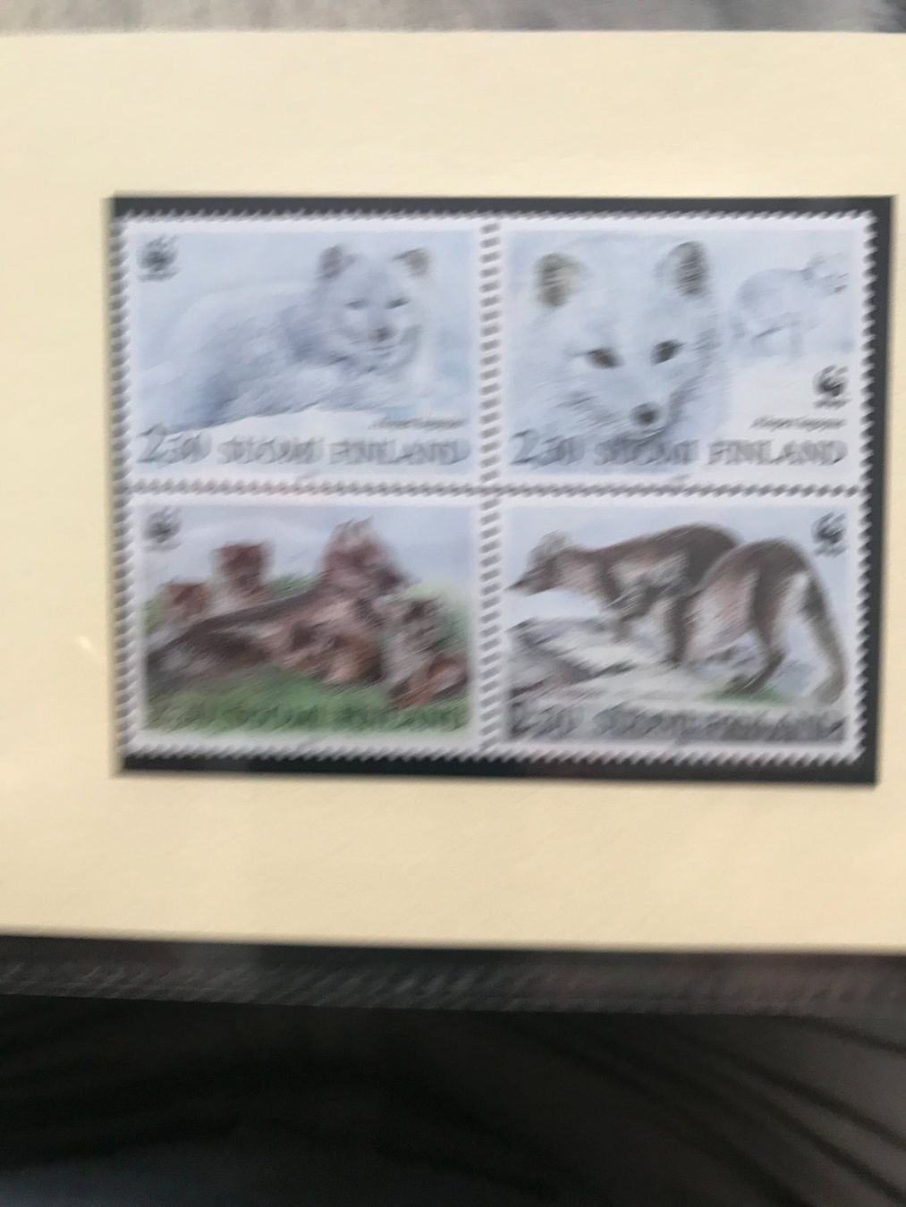 Tutti i francobolli: Finnland 1993 Satz WWF Polarfuchs postfrisch 4er-Block – Nuovo (secondo la descrizione) da Winterthur venduto da schnueps