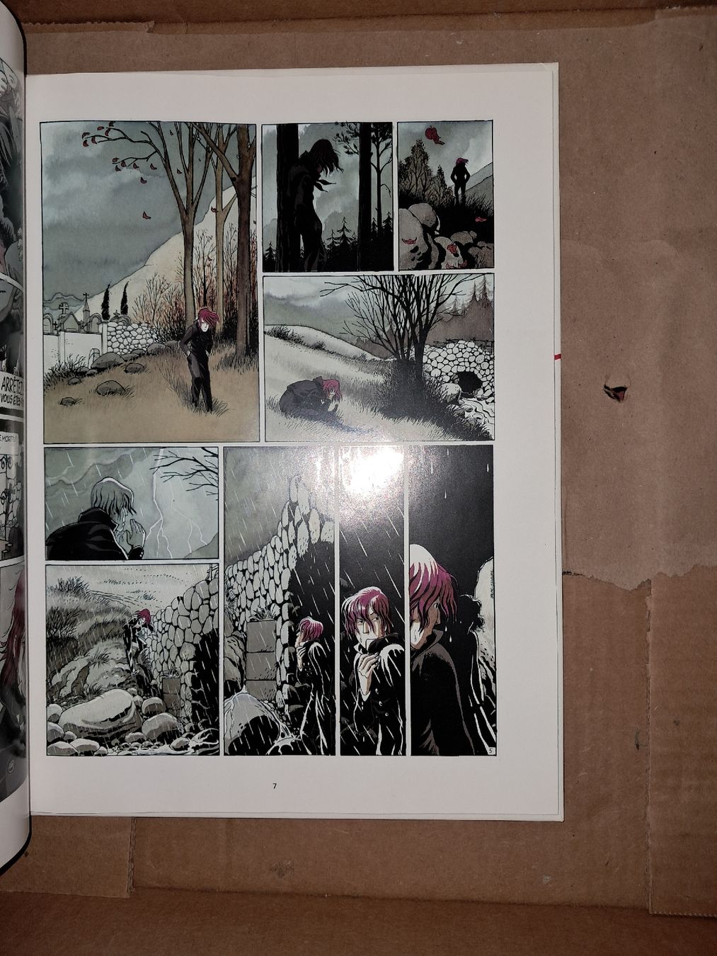 Comics: BD Sambre Plus ne m'est rien – Gebraucht aus Le locle von juliensaran 2