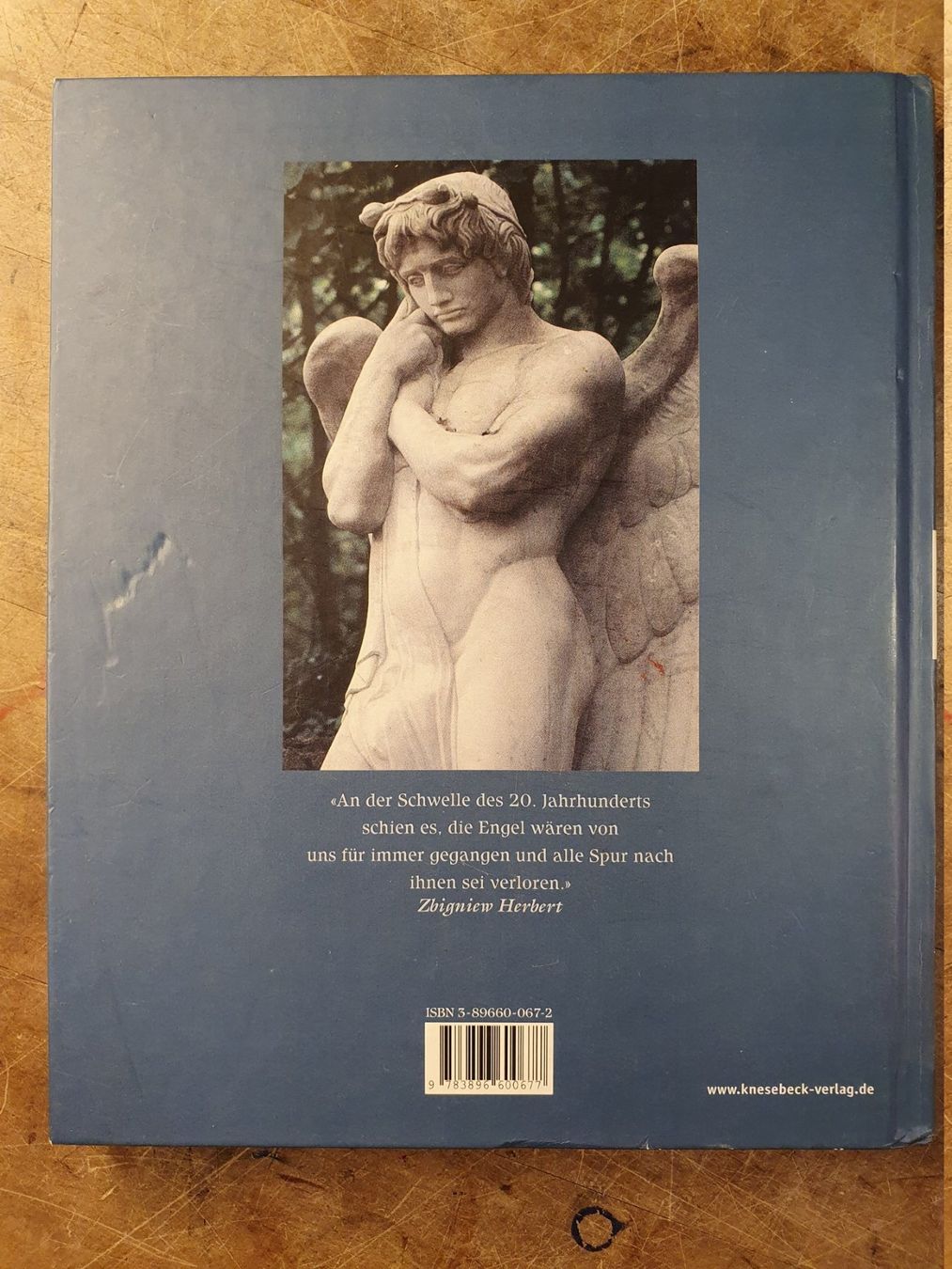 Libri: Aus Licht und Schatten - Isolde Ohlbaum – Usato da Zürich venduto da loosebone 9