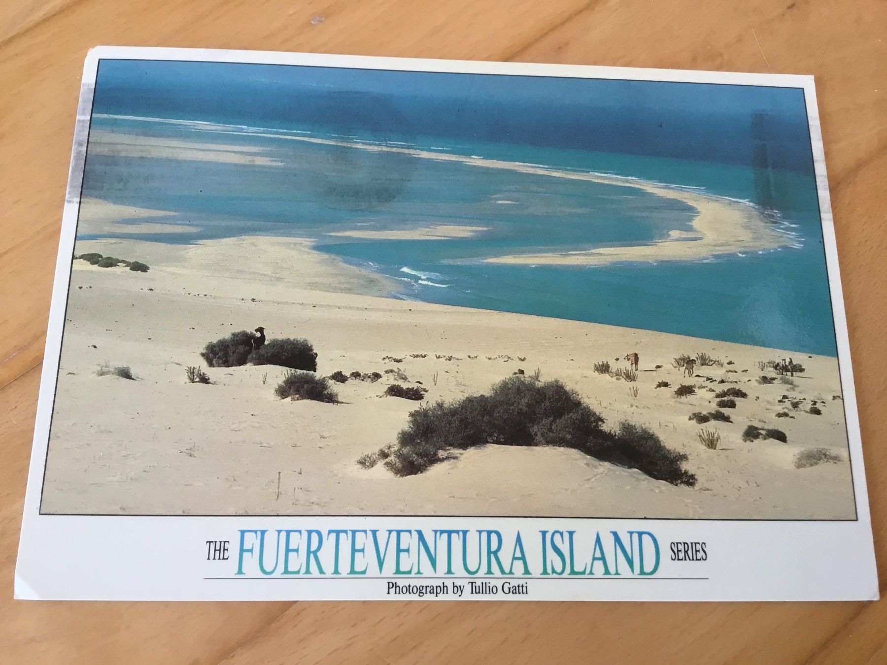 Cartoline postali: Fuerteventura Ansichtskarte 1997 – Usato da Kerzers venduto da Georges3210
