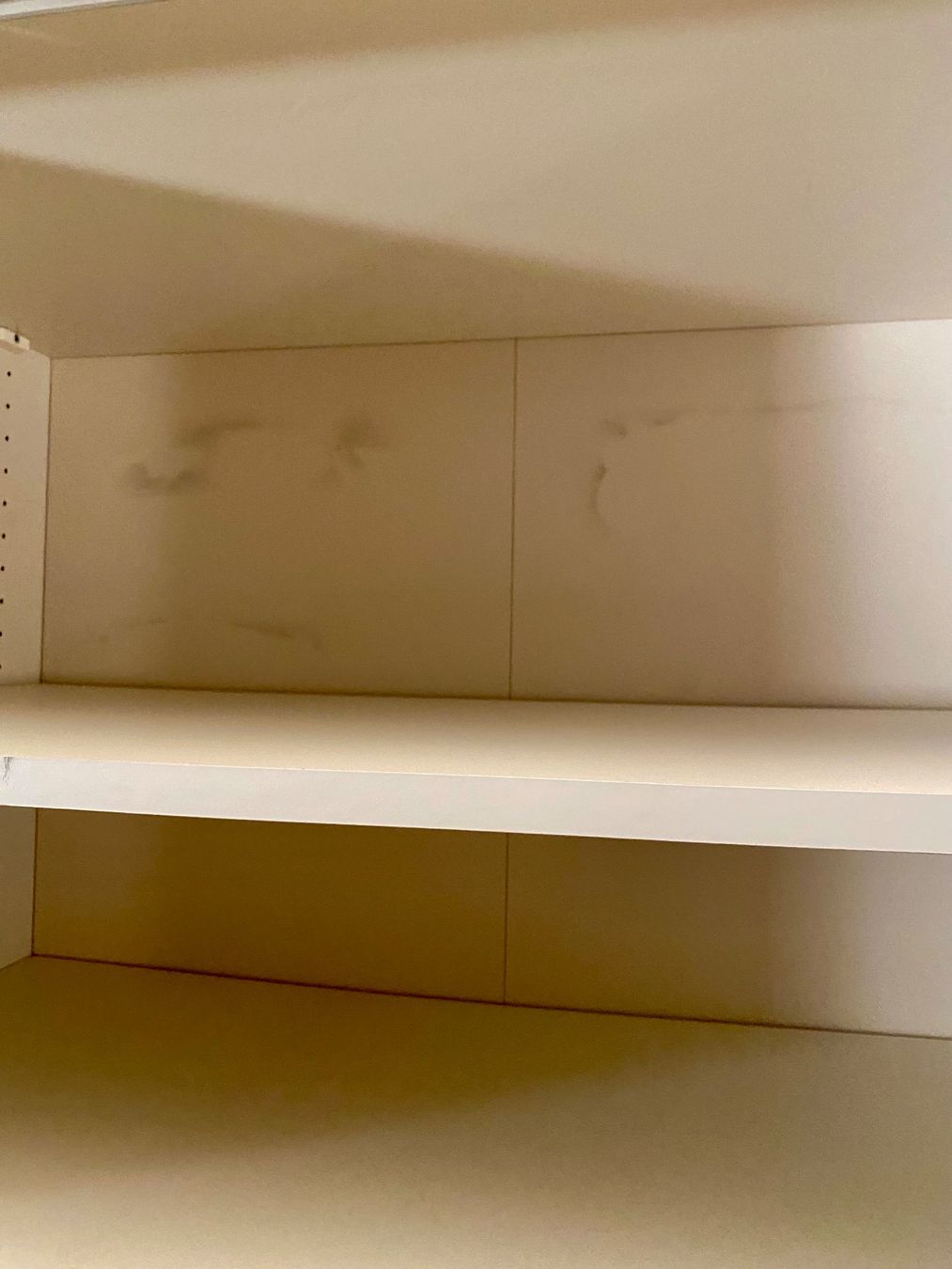 Schränke: KLEIDERSCHRANK XXL – Gebraucht aus Zürich von NIKI777 7