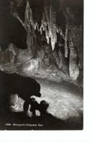 Baar: Höllgrotte Bärengrotte, Verlag Max Burkhardt