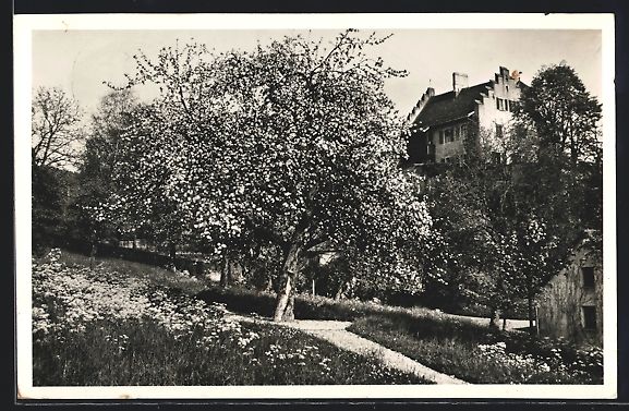 Cartoline postali: Bellikon, Gartenanlage mit Blick auf Geb – Usato da Berlin venduto da bartko-reher