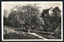 Bellikon, Gartenanlage mit Blick auf Geb