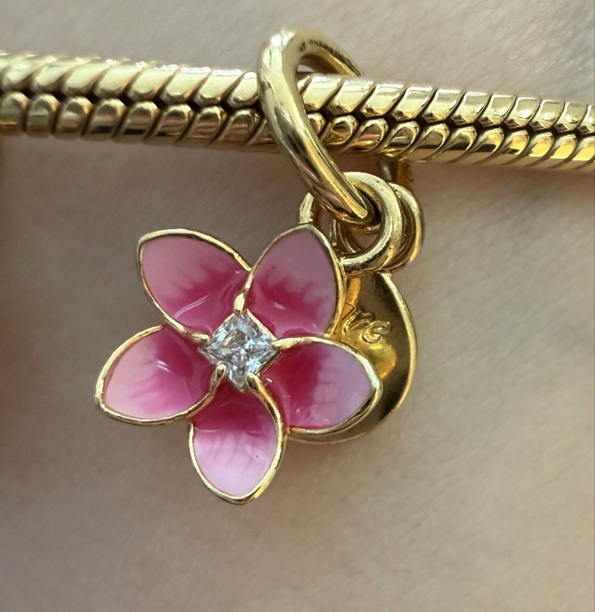 Pandora Pendentifs: Pandora Charm – Neuf (Voir description) à Rhäzüns par Spadinvirginia_