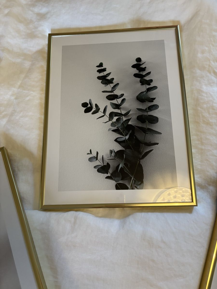 Posters & Illustrations: Poster mit Bilderrahmen Gold  – D'occasion à Winterthur par beijaflor777 2
