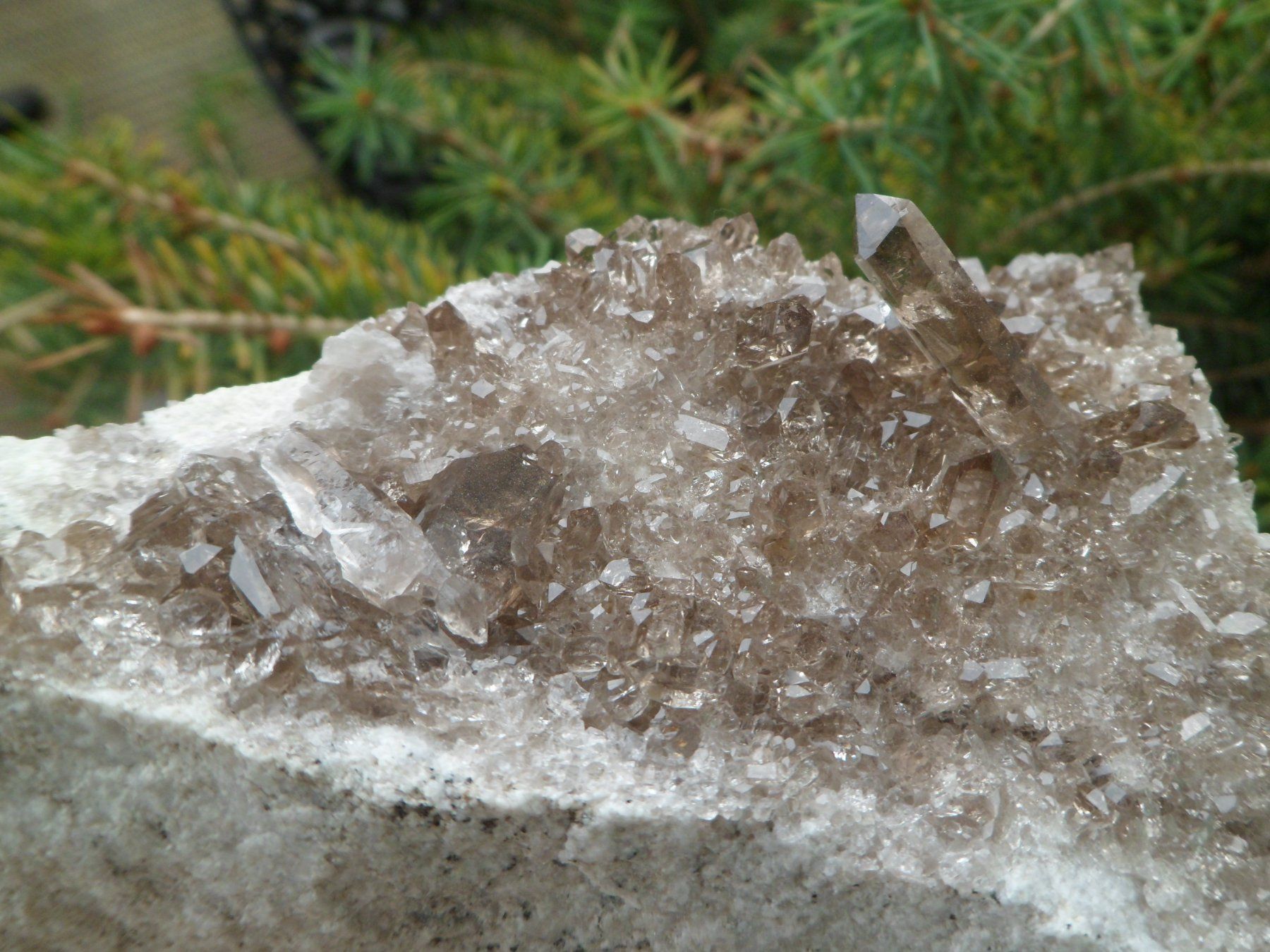 Mineralien & Heilsteine: Rauchquarz auf 2 Seiten. Schweiz – Gebraucht aus Affoltern am Albis von Fossil60 2