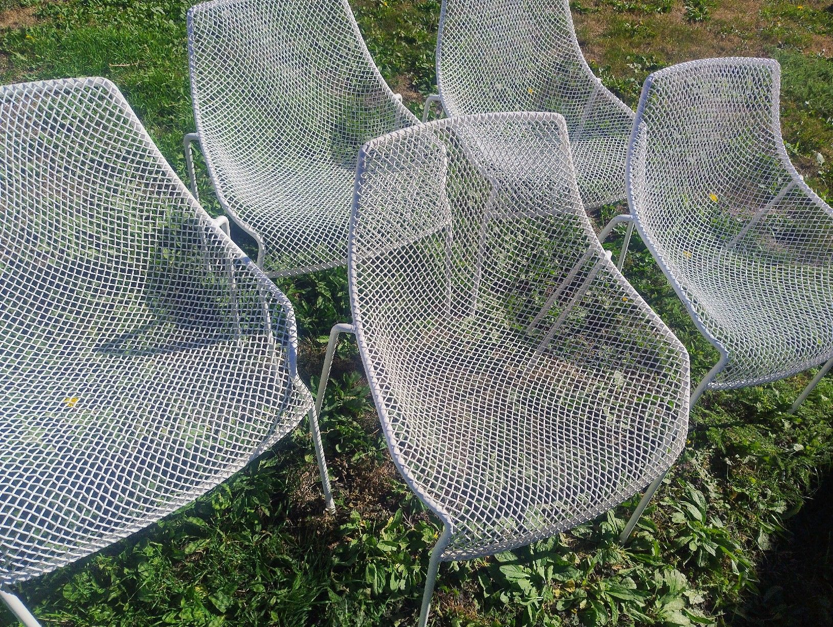Emu Chaises: Set de 5 chaises EMU Heaven, chaises design – D'occasion à Martigny par jul_7s5x 2