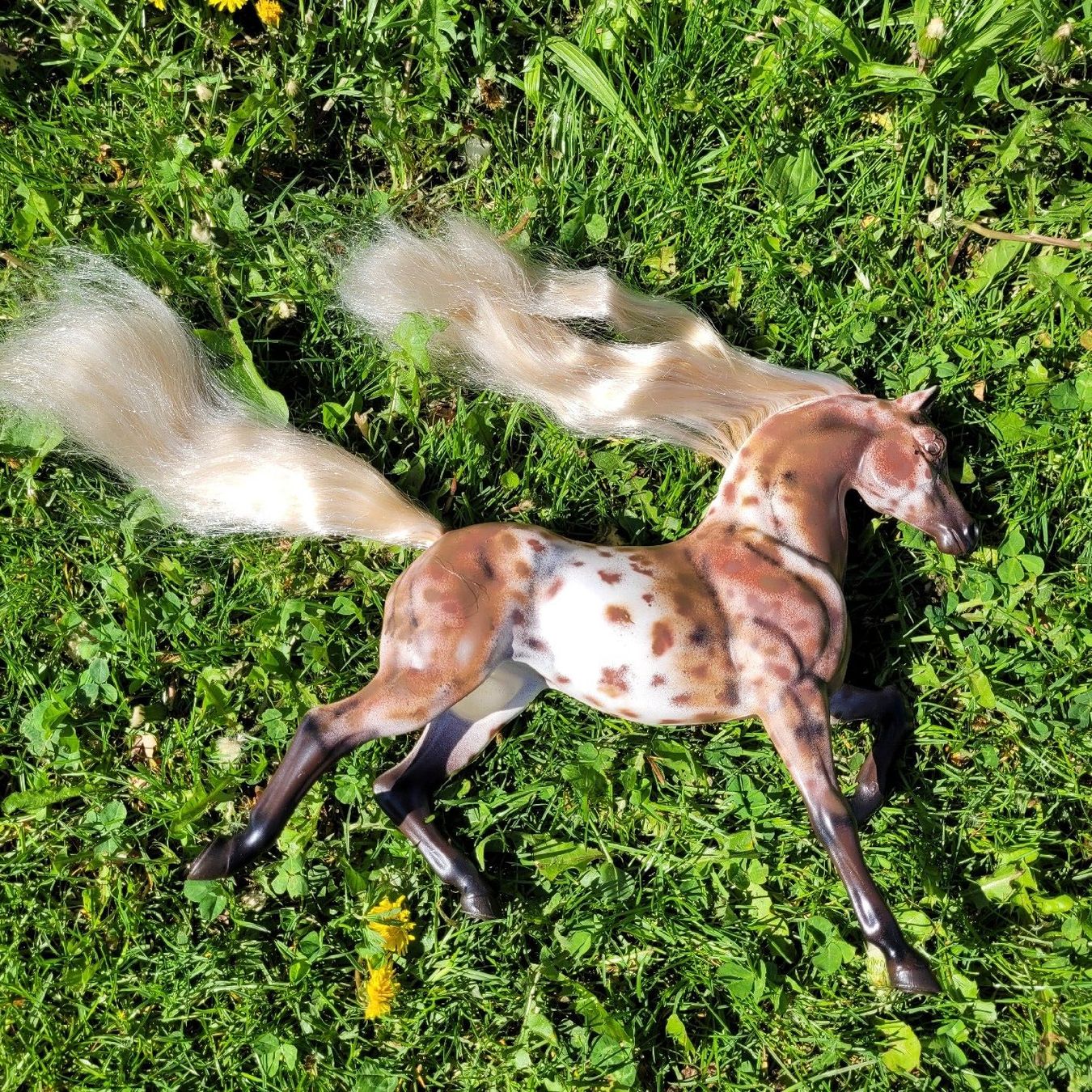 Giocattoli: Barbie Pferd Savanna Repaint/Unikat – Usato da Niederbuchsiten venduto da klengyel 9
