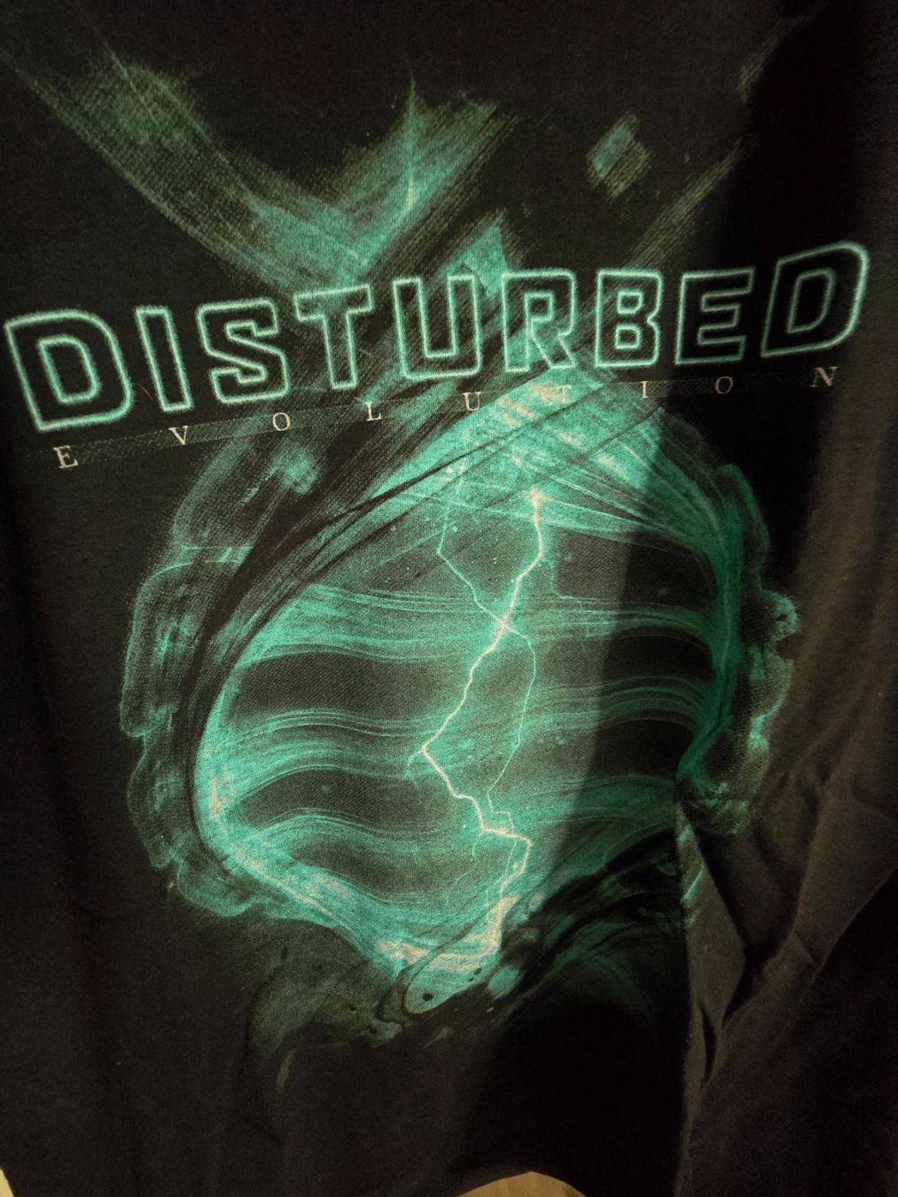 T-shirt: Disturbed Evolution T-Shirt Schwarz Grösse L – Usato da Reute AR venduto da angelflower 1