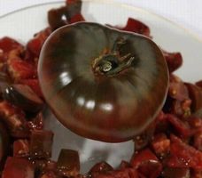 Tomate Black Tula ! rare ! 10g