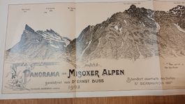 Karte(Länge 2.40m)vom Panorama der Misoxer Alpen 1902