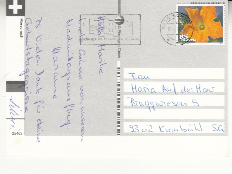 Cartoline postali: Morschach 2011 – Usato da Bürglen TG venduto da StampGraf 1