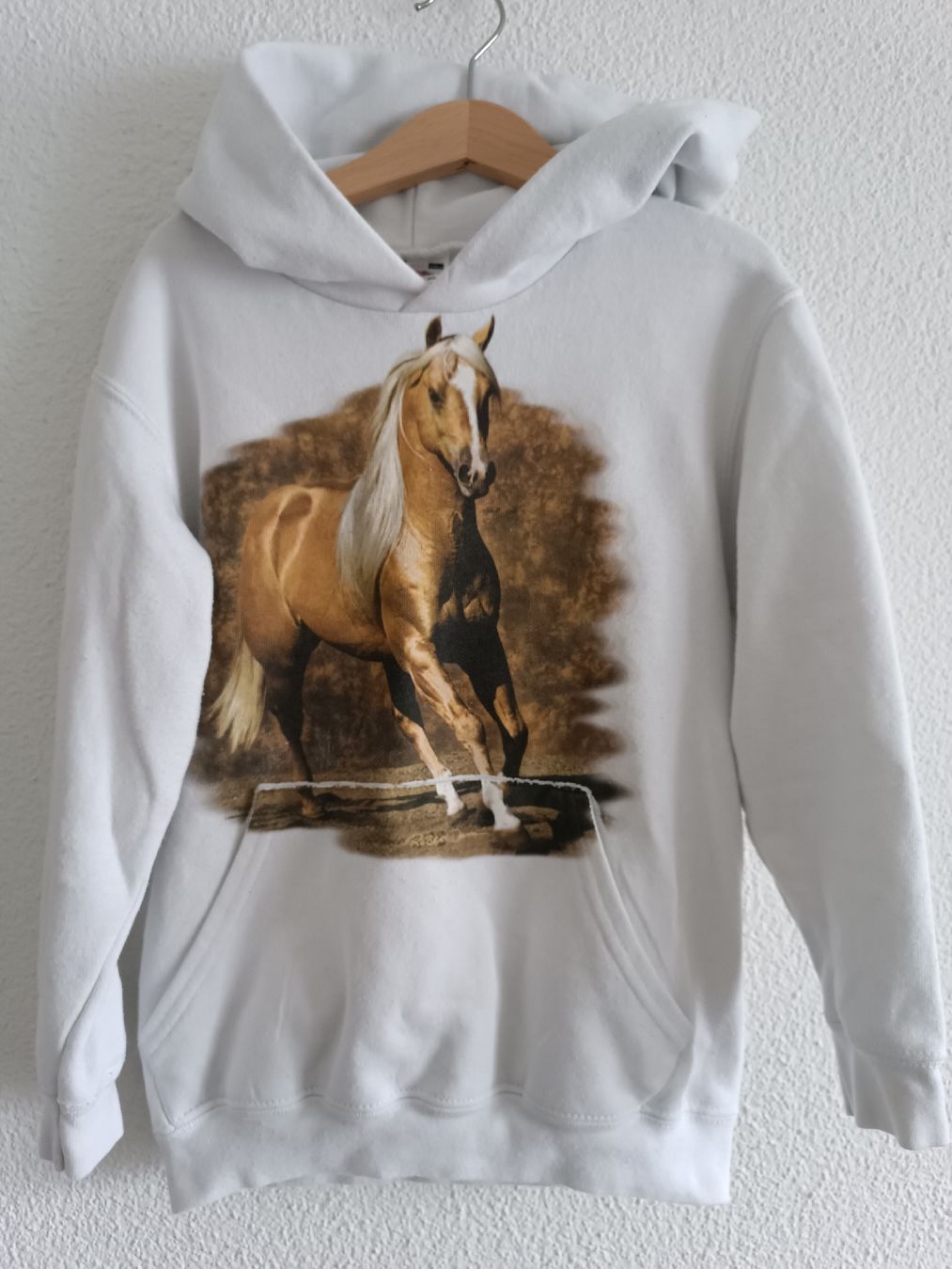 Maglioni & Felpe: Pullover / Hoodie Mädchen 128 – Usato da Binz venduto da julijuli