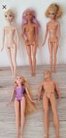 Lot de Barbies