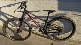 MTB Hardtail Wheeler EAGLE 4.9