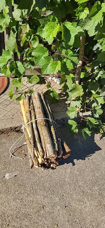 Articoli in legno: Brennholz - Böschelli – Nuovo e nell'imballaggio originale da Herisau venduto da Zwerg023 1