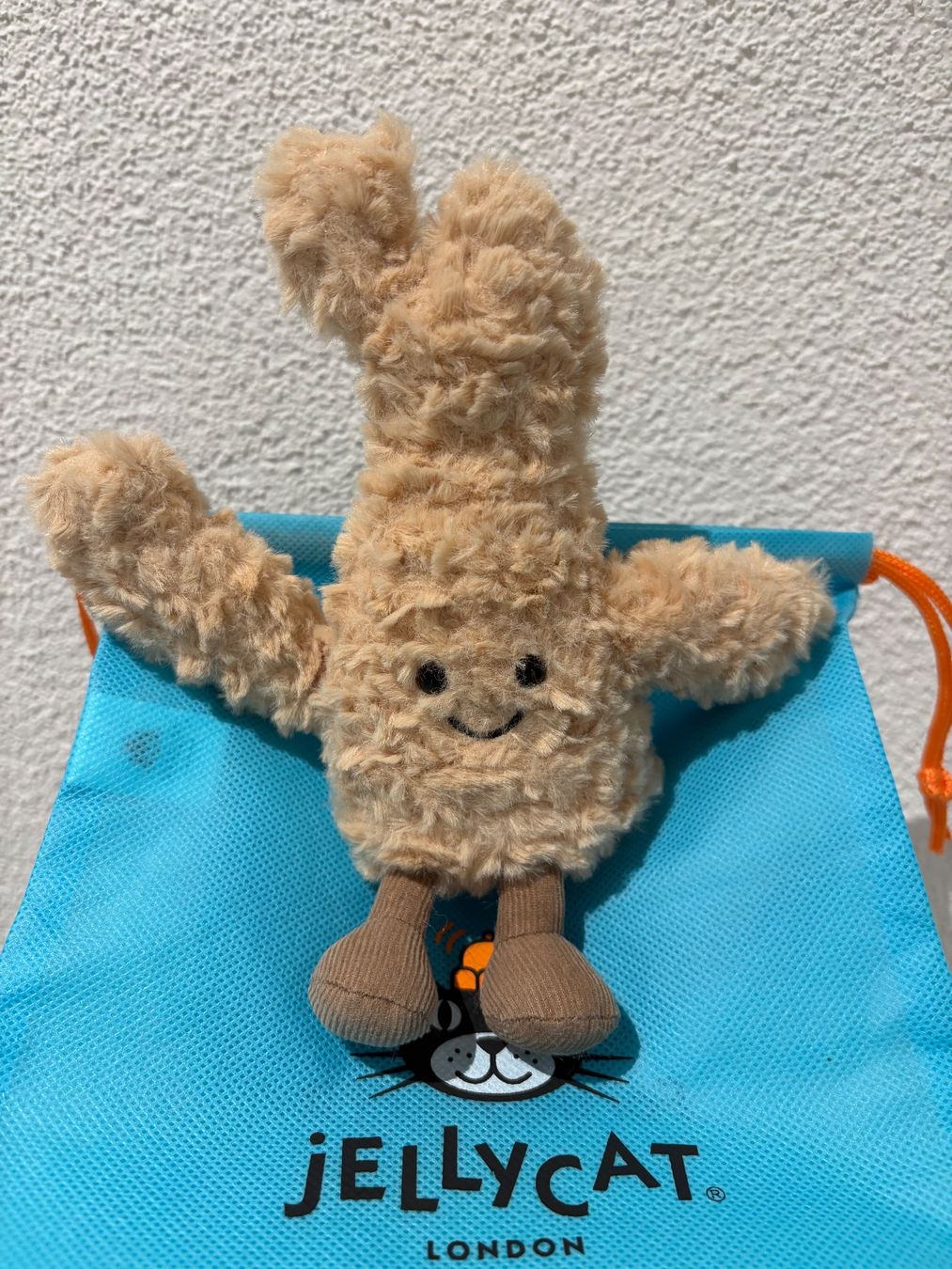 Jellycat Giocattoli: Jellycat Ginger 🫚 – Nuovo (secondo la descrizione) da Goldau venduto da 19099