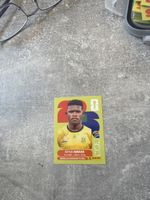 Panini RSA 14