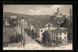 Männedorf, Ortsansicht mit Strassenpart