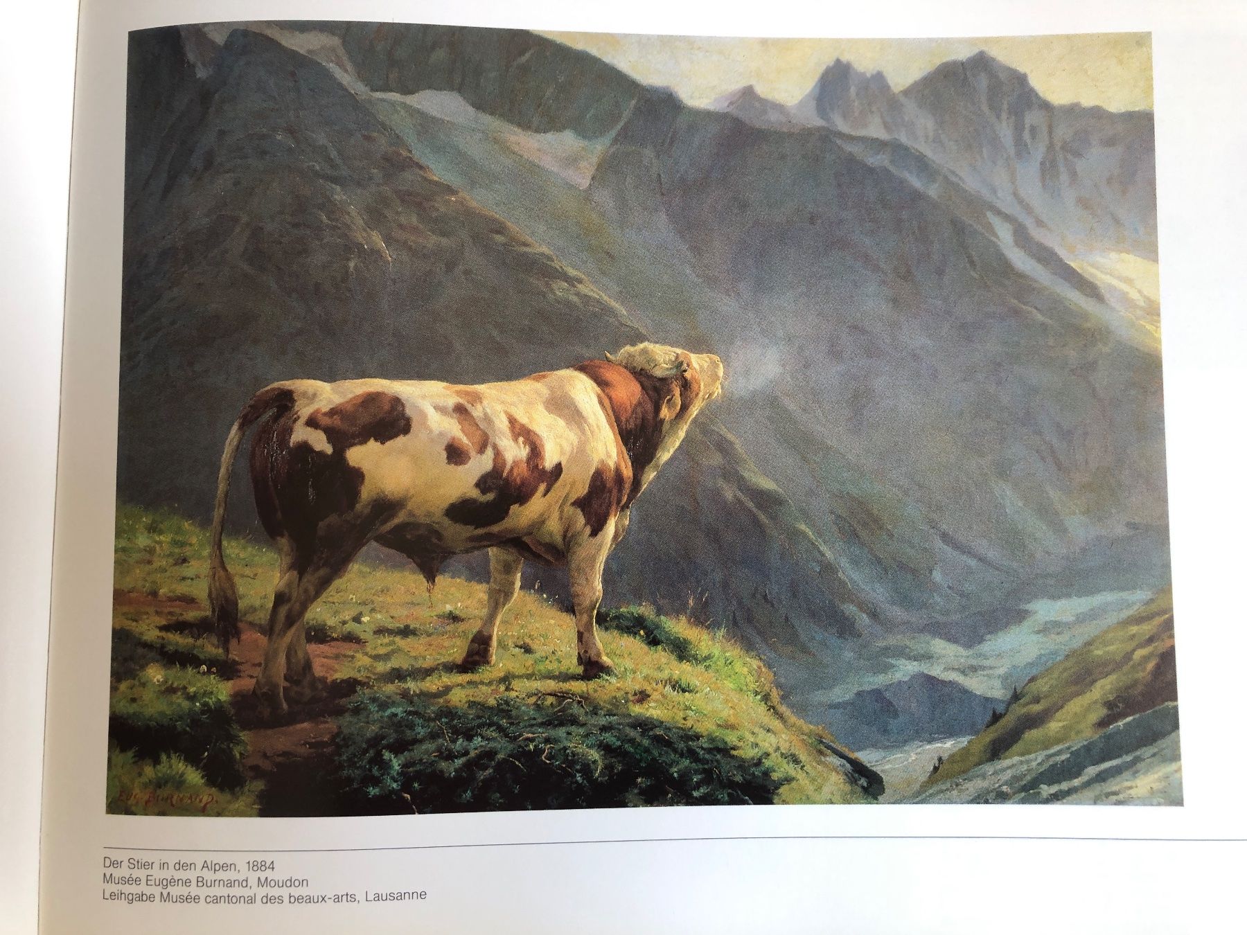 Libri: Ferdinand Hodler Eugène Burnand und die schweizerischen B... – Nuovo (secondo la descrizione) da Zürich venduto da Husopaska 9