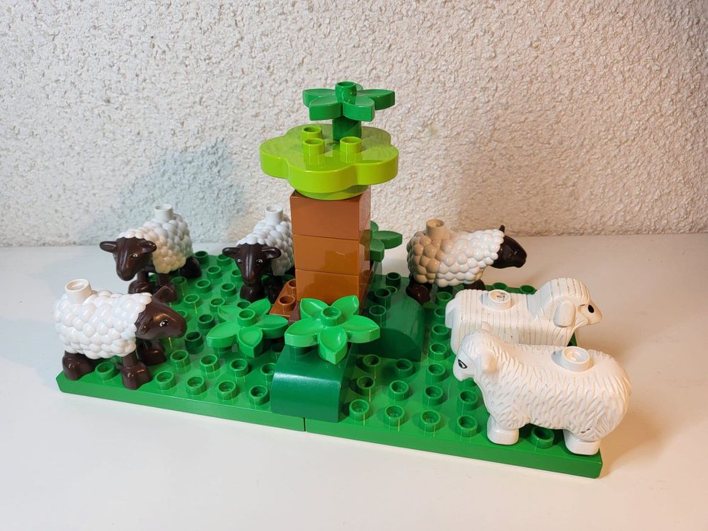 Lego Duplo Schafe auf der Weide, Eigenkreation | Kaufen auf Ricardo