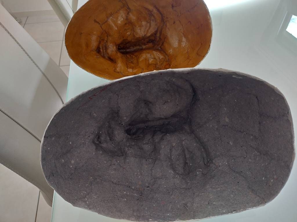 Masken: LARVEN ROHLINGE weiss gross – Neu (gemäss Beschreibung) aus Oberwil BL von Fgquerschleeger 1