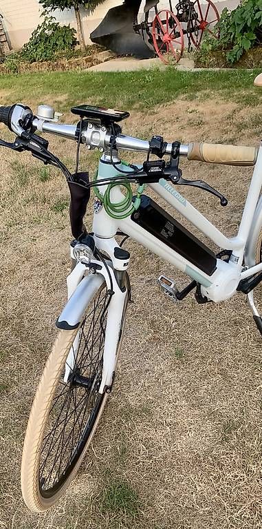 Biciclette: Allegro e-Bike Discovery – Usato da Zeiningen venduto da bur_vtl8 1