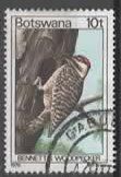 BOTSWANA : WOODPECKER - SPECHT   (25