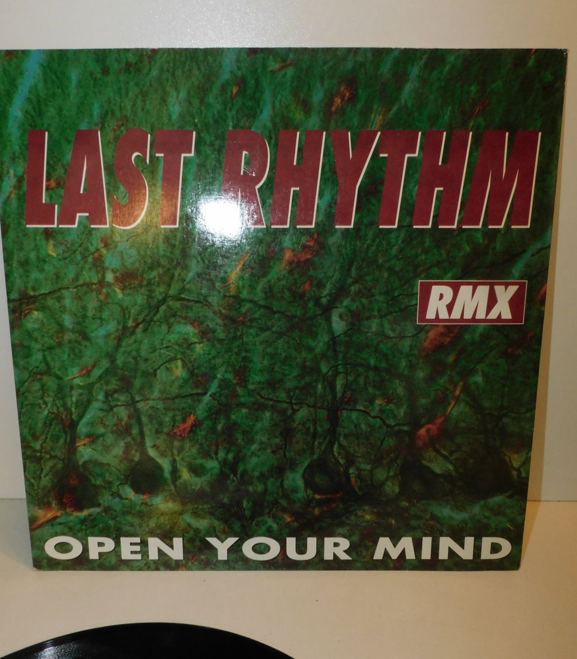 Dischi in vinile: LP Last Rhythm - Open your Mind - Mix Remixed - Mix House – Usato da Sursee venduto da 76 1