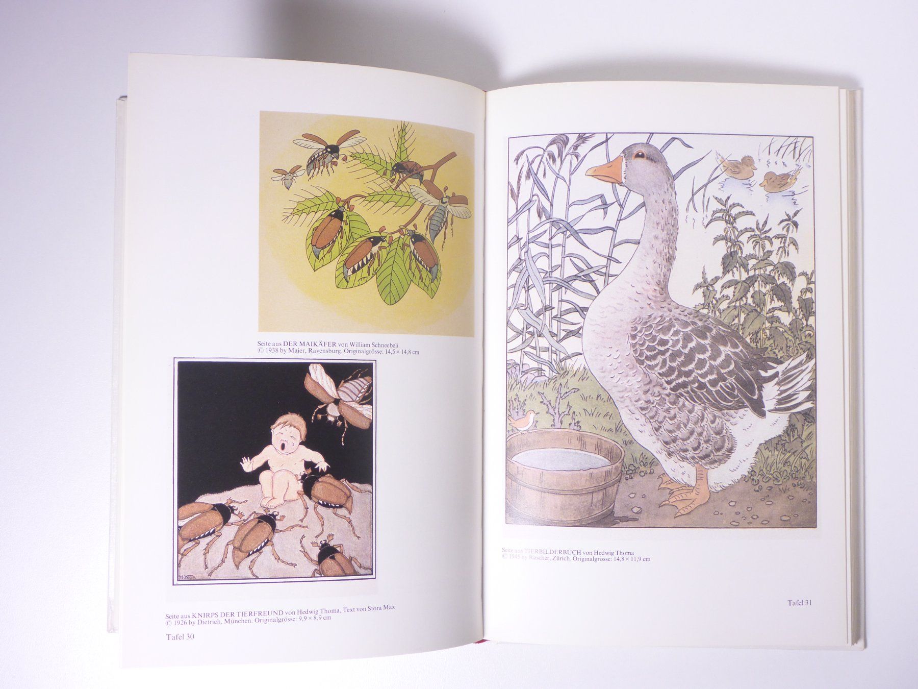 Libri: Lexikon Schweizer Bilderbuch-Illustratoren – Usato da Erschwil venduto da taglang 5