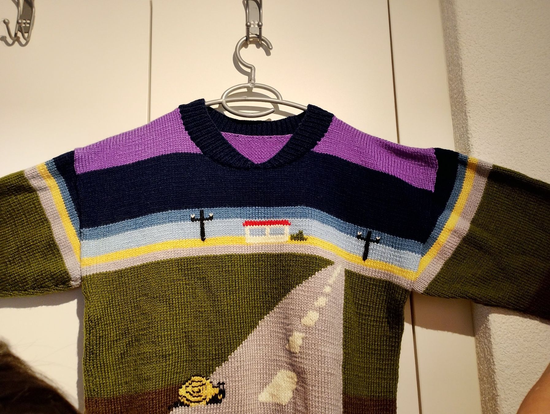 Maglioni & Felpe: Wollpullover gestrickt – Usato da Ehrendingen venduto da 2Guagua2 1