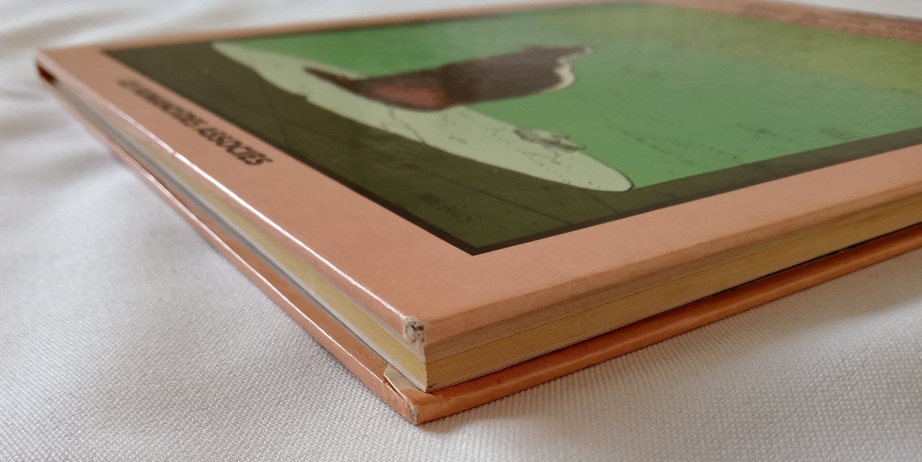 Fumetti: MOEBIUS - œuvres complètes Tome 6 EO 1985 – Usato da Le Locle venduto da PereiraHugo 4