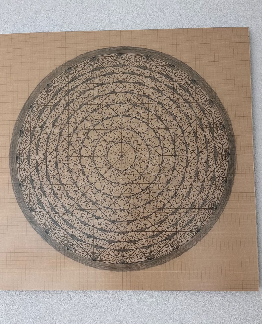 Foto & Immagini: Emma Kunz, Acrylglasbild – Usato da Sugiez venduto da lili.ane