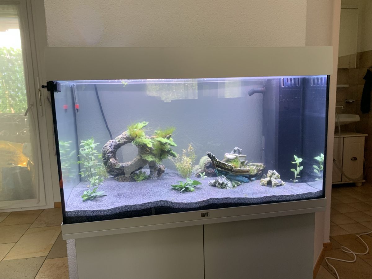 Juwel Aquarium: Juwel Rio 125 Liter Aquarium – D'occasion à Bilten par giudy 3
