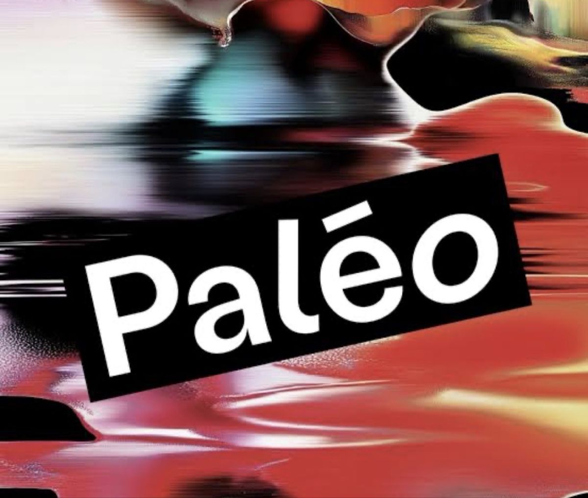 Banconote: 2x billets paléo dimanche  – Nuovo e nell'imballaggio originale da nyon venduto da jul_c2xl