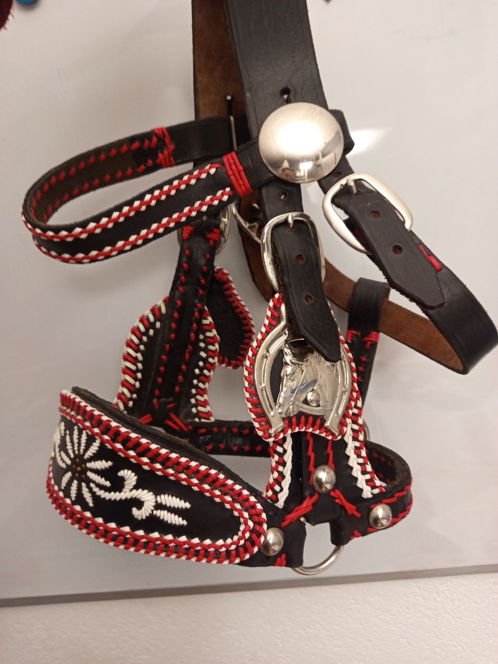 Briglie & Cavezze: Schow- Zier- Halfter, dickes Leder – Usato da Neyruz FR venduto da pri_gz79 4